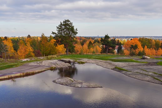 autumn-in-european-nature-park-2023-12-15-17-25-37-utc