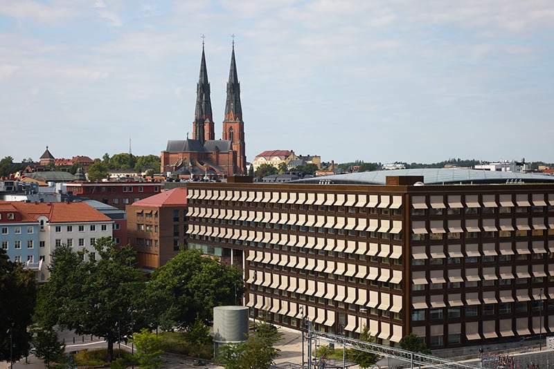 Houses next to coastline