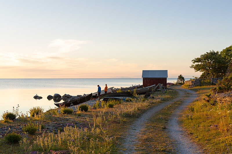 bilväg vid havet