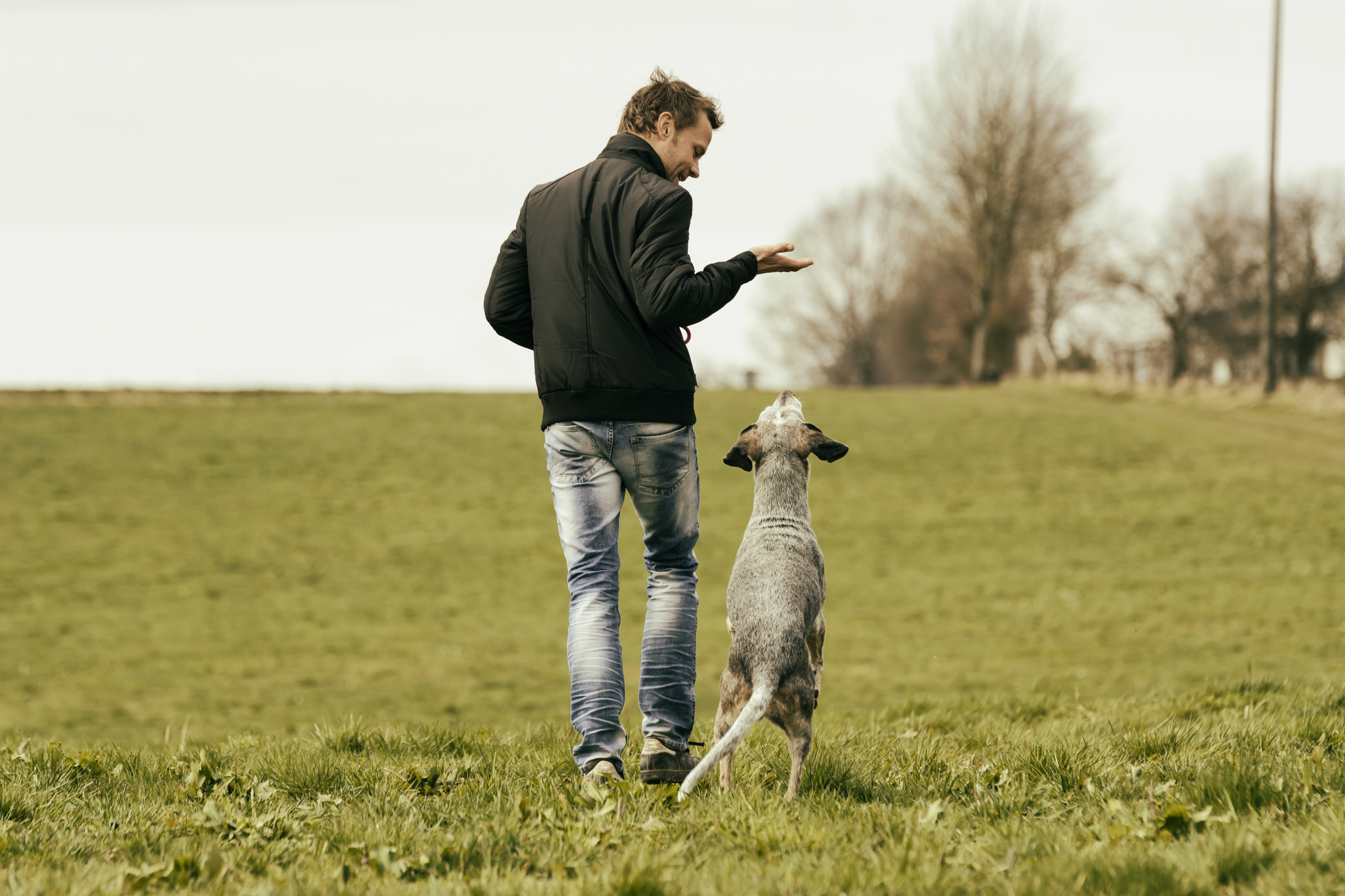 man-exercising-with-dog-on-meadow-2024-09-23-02-11-21-utc