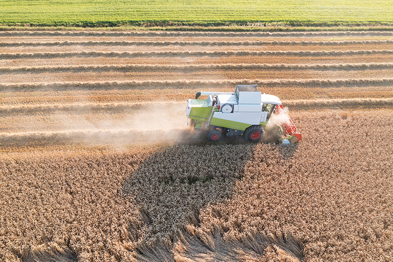 Skördetröska i arbete på ett fält, symboliserar en metodisk och effektiv process. Läs om implementeringsmetoder för att lyckas med systembyte av ekonomisystem i kommuner.